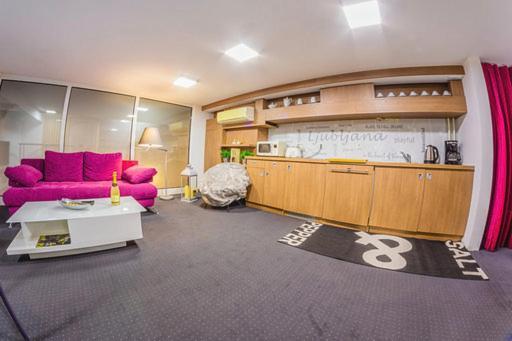 Trzaska Duplex Urban Apartment 卢布尔雅那 外观 照片